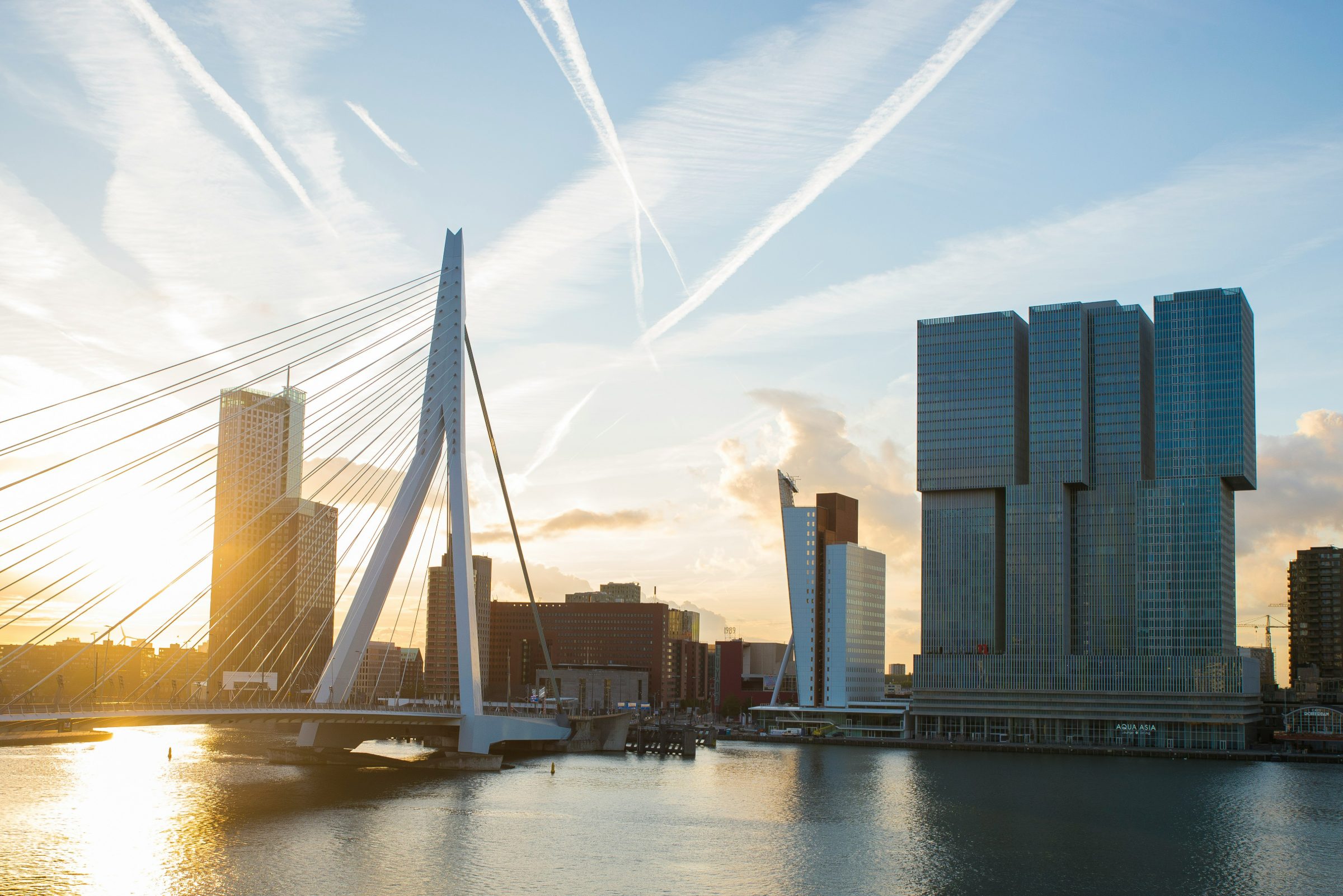 De Erasmusbrug en skyline van Rotterdam vanaf het water