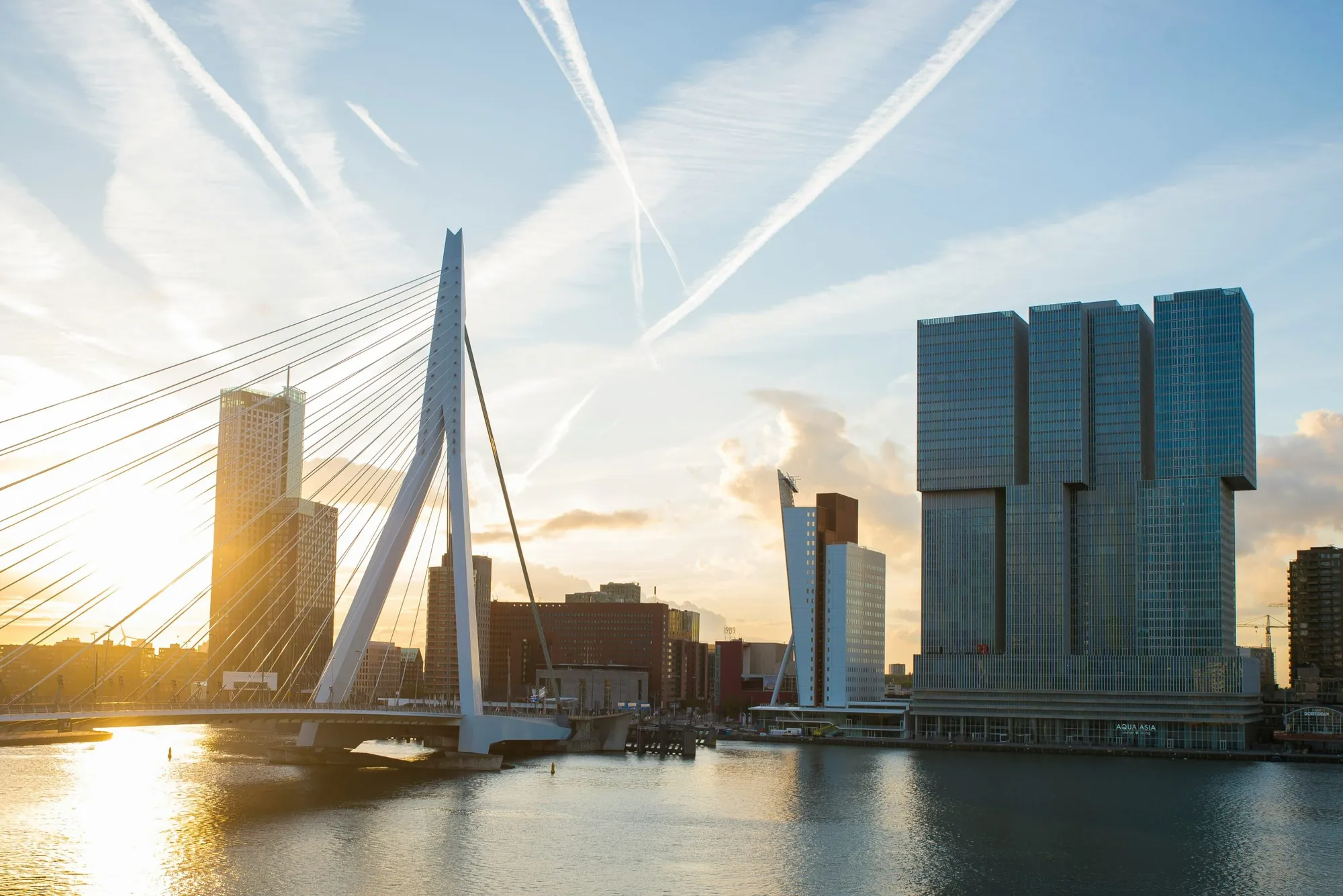 The Erasmus Bridge and the Rotterdam skyline from the water