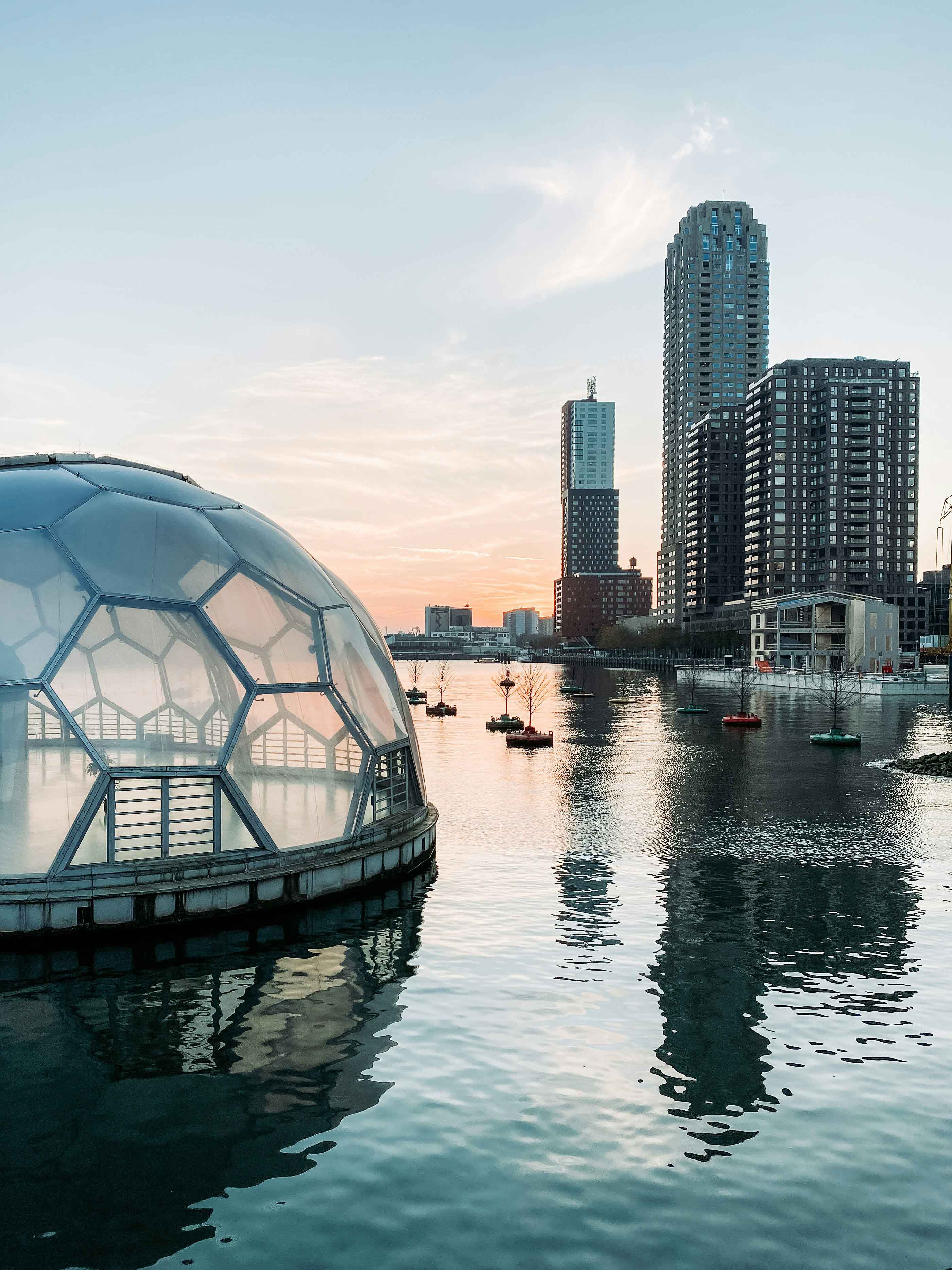 De Rijnhaven in Rotterdam